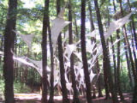 100_1600.jpg